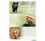 Étiquette pour livre VARIO 'Animaux de la forêt'