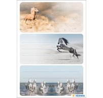 Étiquette pour livre VARIO 'Animaux de la forêt'