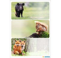 Étiquette pour livre 'Dauphins', 76 x 35 mm