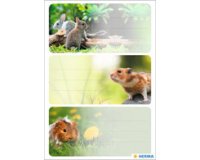 Étiquette pour livre 'Animaux de la ferme'