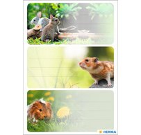 Étiquette pour livre 'Animaux de la ferme'