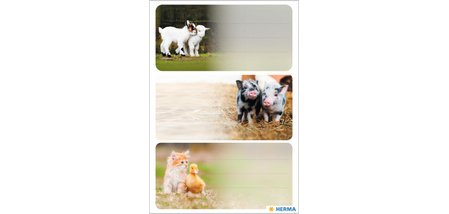 Étiquette pour livre 'Animaux de la ferme'