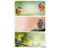 Étiquette pour livre 'Animaux africains', 76 x 35 mm