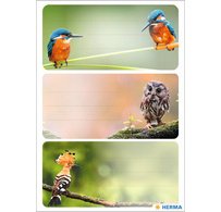 Étiquette pour livre 'Animaux africains', 76 x 35 mm