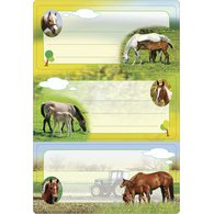 Étiquette pour livre 'Chevaux', 76 x 35 mm