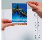 Transparol Coins-photos, contenu: 500 pièces