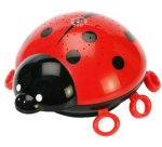 Veilleuse 'coccinelle', noir / rouge