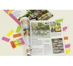 Index repositionnable Marker, couleurs néons,50 x 20 mm