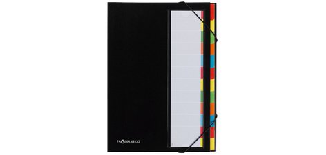 trieur DESKORGANIZER Color, 12 poches