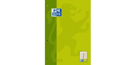 Bloc de travail, A4, 50 pages, linéature 1 ,