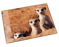 Sous-main 'suricate', 400 x 530 mm