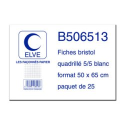 Gb_elv s/25 fiche bristol 50x65 5x5 b506513