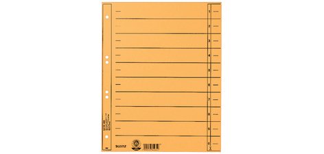 Intercalaires, format A4 extra large,en carton manille