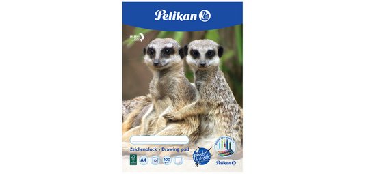 Bloc à dessin C 3/20, A3, 100 g/m2, 20 feuilles