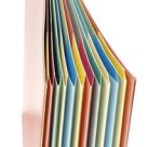 Trieur à élastique série 237, 12 compartiments