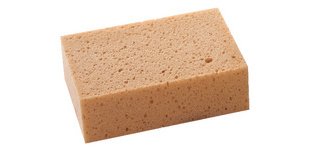 Sponge for board, brown, (L)160 x (D)100 x