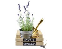 Marqueur décoratif 'Wet Erase' SMW26,pointe biseautée