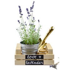 Marqueur décoratif 'Wet Erase' SMW26,pointe biseautée