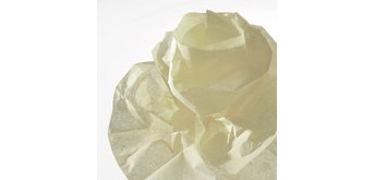 Tissue paper, 0.5 x 5.0 m, 20 g/m²