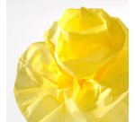 Papier de soie, 0,5 x 5,0 m, 20 g/m2