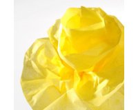 Zijdepapier 0,5 x 5,0 m 20 g/m²