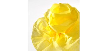 Papier de soie, 0,5 x 5,0 m, 20 g/m2