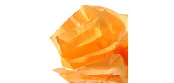 Papier de soie, 0,5 x 5,0 m, 20 g/m2