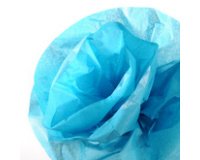 Zijdepapier 0,5 x 5,0 m 20 g/m²