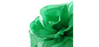 Zijdepapier 0,5 x 5,0 m 20 g/m²