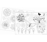 Window Color, kit XXL