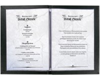 Pochette double, A4, plastique, transparent