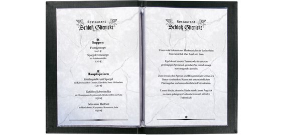 Pochette double, A4, plastique, transparent