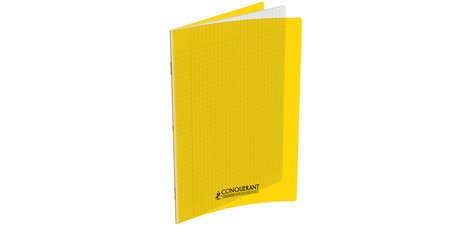 Cahier 170 x 220 mm, Seyès