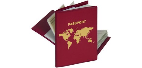 RFID-Schutzhülle für Reisepass