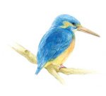 Crayons de couleur 'IROJITEN' - Seascape, set de 30