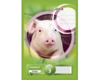 Bloc scolaire 'pro terra', format A4, linéature 3