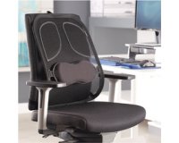 Fellowes professional series mesh back support