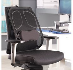 Support dorsal en maille Professionnel Series, noir