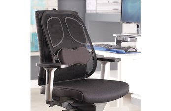 Fellowes rugsteun Professional Series