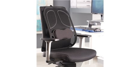Fellowes support dorsal Professional Series
