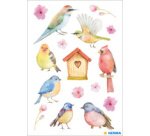Sticker DECOR 'Oiseaux chanteurs'