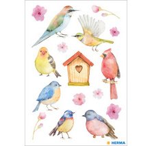 Sticker DECOR 'Oiseaux chanteurs'