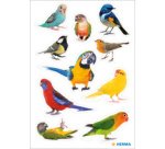 Sticker DECOR Rapaces