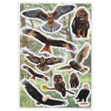 Sticker DECOR Rapaces