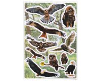 Sticker DECOR 'Oiseaux de chez nous'