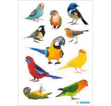 Sticker DECOR 'Oiseaux de chez nous'