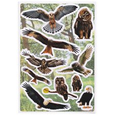 Sticker DECOR 'Oiseaux de chez nous'