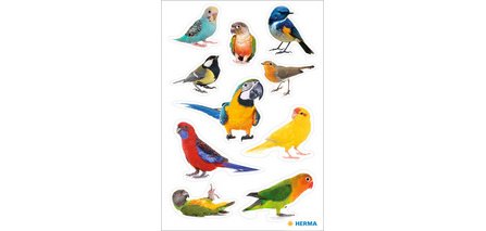 Sticker DECOR Rapaces