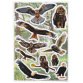Sticker DECOR Rapaces