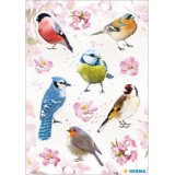 Sticker DECOR 'Oiseaux à l'aquarelle'
